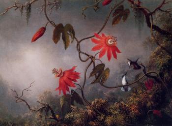 Martin Johnson Heade : Passion Flowers and Hummingbirds